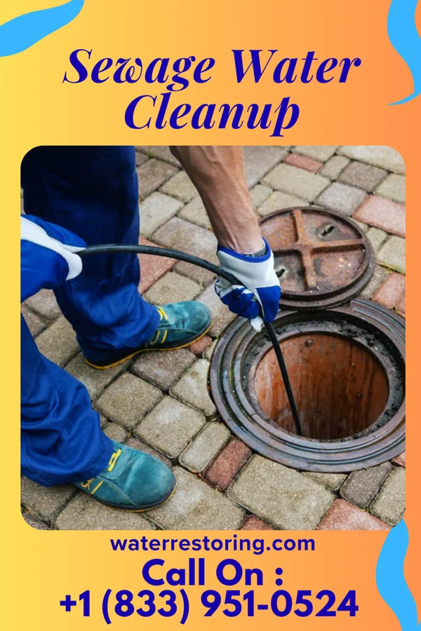 Sewage Water Cleanup in Keysville, VA